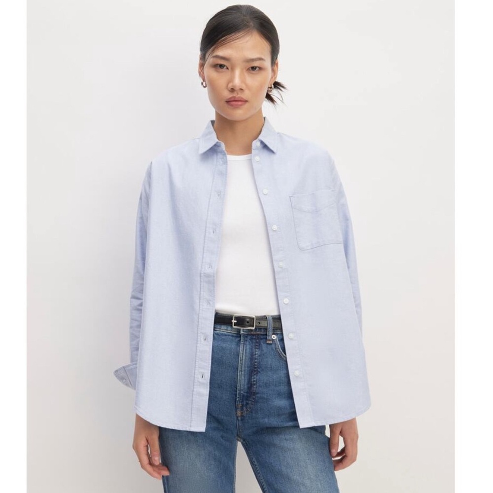 Everlane Relaxed Cotton Oxford in Blue